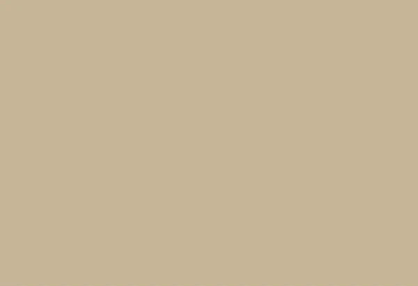 Colorcrete 110C-1G Surface Logix 1 Gallon Creamy Beige