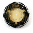 Carpet Shampoo Scrub Polypropylene Brush w/ Clutch Plate and Riser - Diamond Tool Store